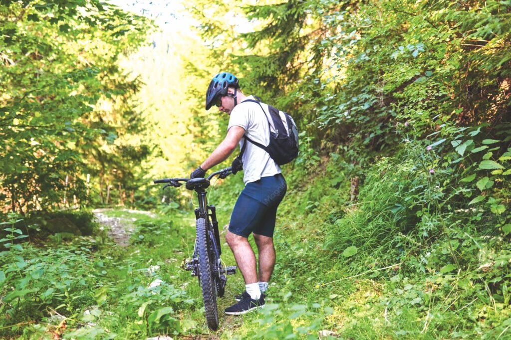 Gozdne ceste za proizvodne namene in preventivo, pa tudi za turizem _ Strade forestali per usi produttivi e prevenzione, ma anche turismo 