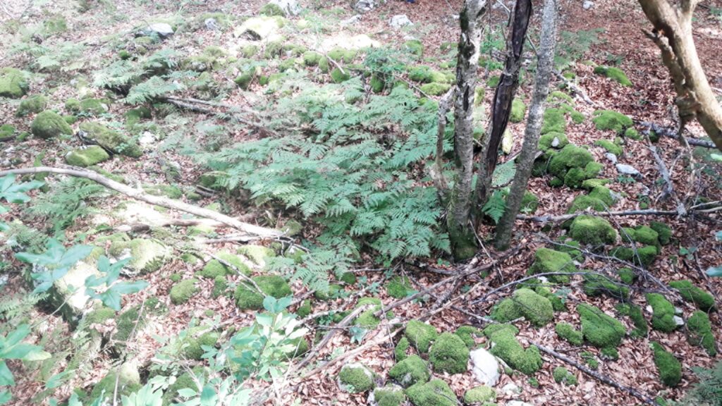 Starodavni megalitski krog v kraju Kot _ L’antico cerchio di Kot 